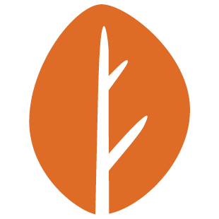 joygameplace.com favicon